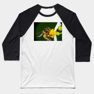 Unique and organic photo of a pollinated bee on a flower Baseball T-Shirt